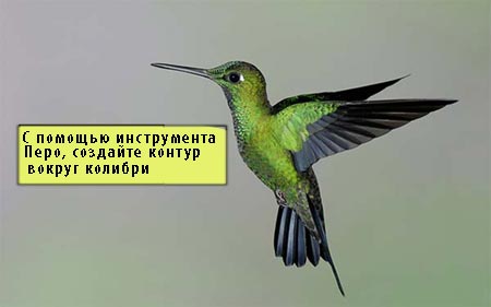 Красочная иллюстрация с цветами в Фотошоп Красочная иллюстрация с цветами в Фотошоп