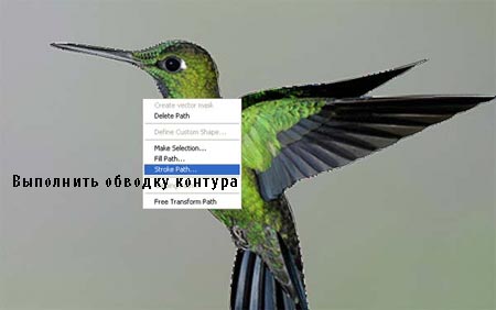 Красочная иллюстрация с цветами в Фотошоп Красочная иллюстрация с цветами в Фотошоп