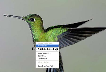 Красочная иллюстрация с цветами в Фотошоп Красочная иллюстрация с цветами в Фотошоп